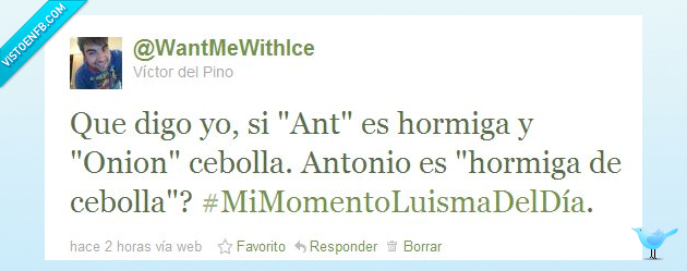 cebolla,hormiga,Antonio,Ant,Onion