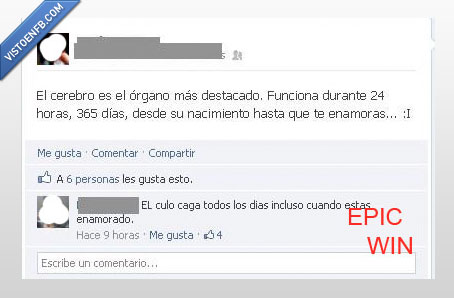 win,cerebro,amor,cursi