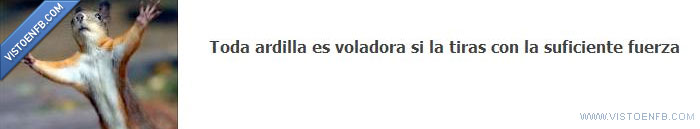 fuerza,tirar,voladora,ardilla,facebook