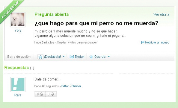 perro,morder,Yahoo,veterinario