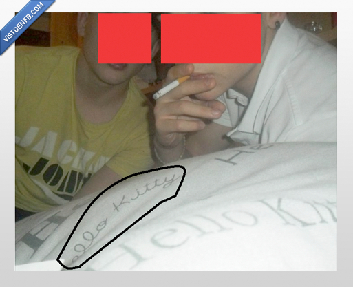 chungos,canis,hello kitty