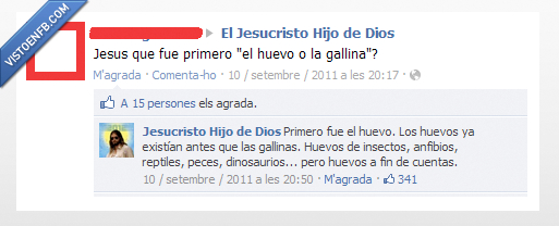 ave,duda,huevo,jesucristo hijo de dios,gallina,reptil