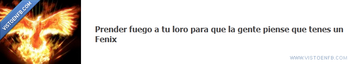 fenix,loro,fuego,prender