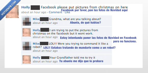 abuela,christmas,facebook,fotos,grandma,holly,navidad,pictures