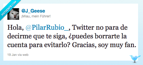 twitter,cuenta,borrar,fan,Pilar Rubio