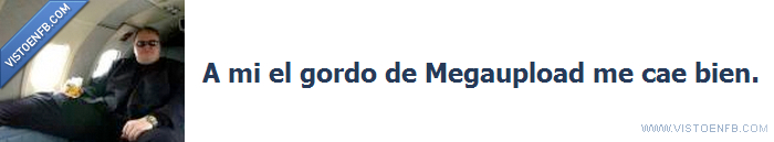 kim dotcom,gordo,megaupload,me cae bien