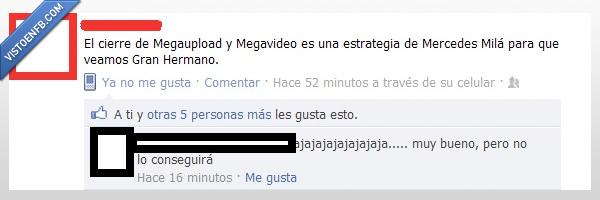 megavideo,gran hermano,mercedes mila,megaupload