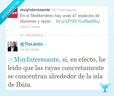 rayas,tiburones,mediterráneo,curioso,muy interesante,coca,Ibiza