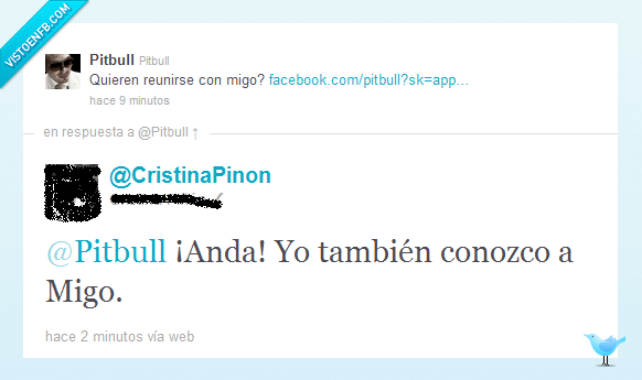 211463 - Pitbull y su amigo Migo por @CristinaPinon