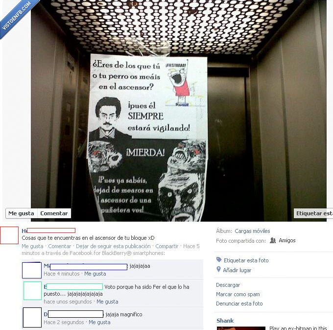 viñeta,raisins,perro,observer,mirada fija,inglip,foto,ascensor,all the things