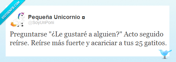 loca,loco,gustar,gatos