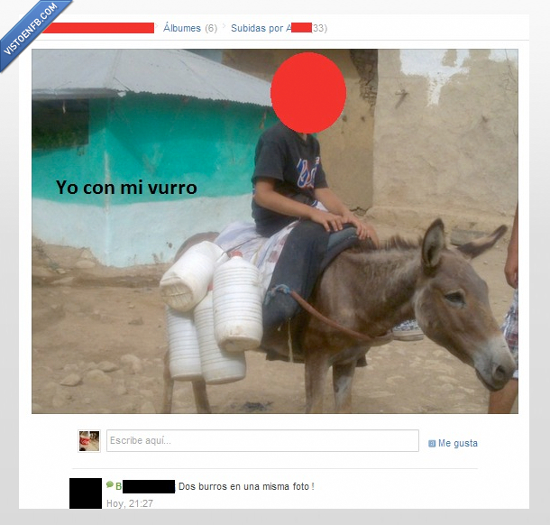 foto,Burro,falta de ortografía,dos,tuenti