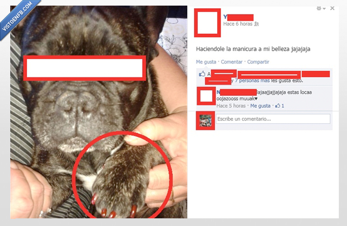 testigo protegido,choni,pobre,perros,manicura