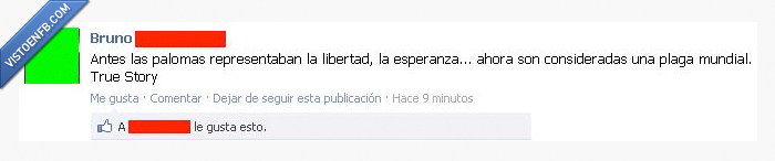 palomas,estado,plaga,esperanza,libertad