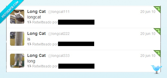 gato,twitter,largo,tweets
