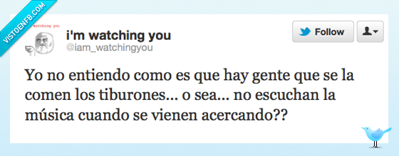 tiburones,cancion,comer,gente