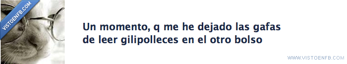 burla,fans,facebook,humor,gafas,leer,gilipolleces,bolso