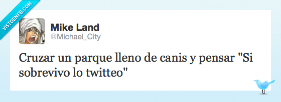 Cani,cruzar,parque,sobrevivir,twittear