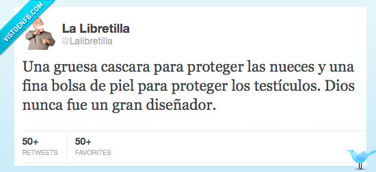 diseñador,dios,huevos,cascara,nuez,piel,capa