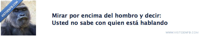 mirar,encima,hombro,sabe,hablando,mono