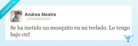 teclado,mosquito,ctrl,tweet