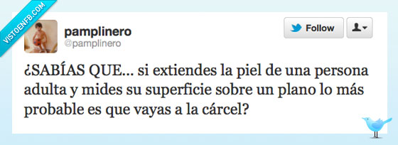 humano,ser,Piel,extender,plano,carcel,probable