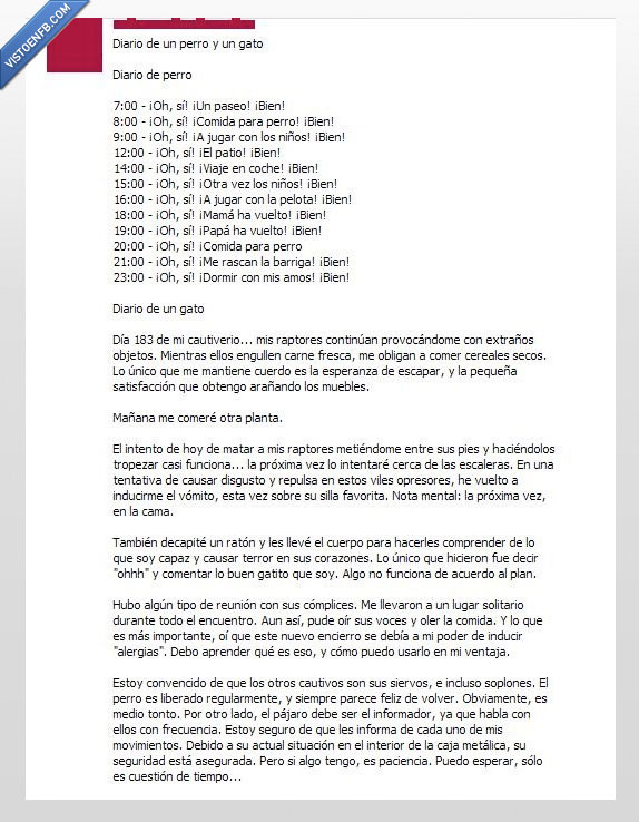 diario,perro,gato,conspiración,ataque,defensa,secuestro,captores,minino,arañar,asesinato,intento,enemigo,facebook