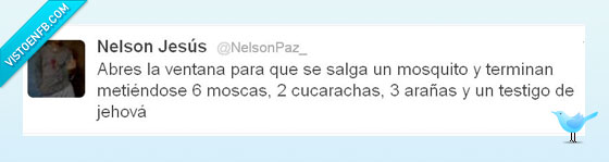 satanteamamos,molestos,Testigos,jehova,mosquito,ventana,mosca,abrir