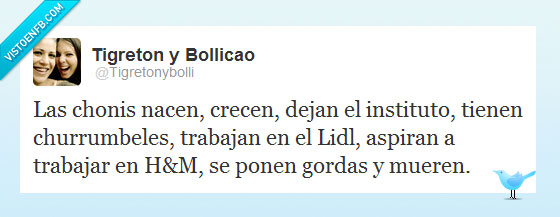 bollicao,twitter,ciclo de vida,chonis