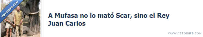 rey juan carlos,scar,mufasa,rey león
