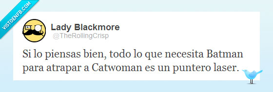 batman,catwoman,puntero,laser,atrapar,necesita