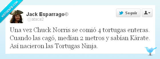 cagar,chuck norris,tortugas ninja,kárate