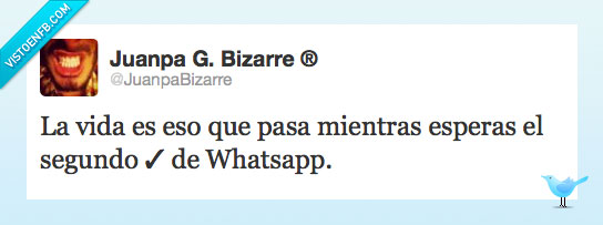 segundo tick,Whatsapp,la vida,mensaje,recibir,simbolo,okay