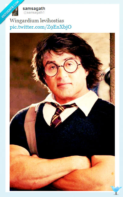 stallone,harry potter,hogwarts,gafas,wingardium leviosa,leviostia