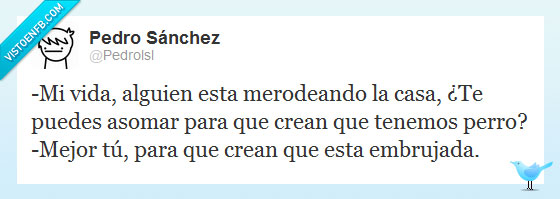 Perro,merodeando,casa,embrujada,fantasma