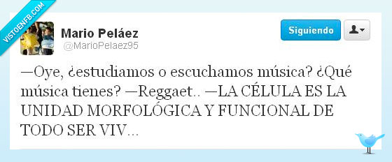 música,escuchar,reggaeton,célula,estudiar