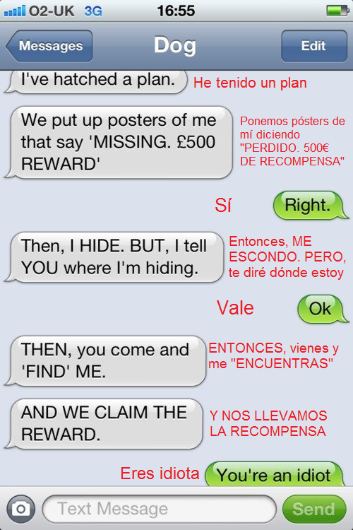 conversación,perro,idea,recompensa