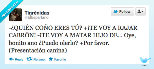 presentación,canina,perros,ano,oler