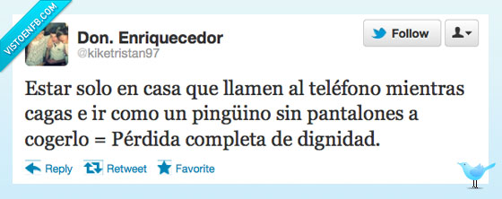 pnatalones,cagar,dignidad,teléfono,solo,casa,pingüino