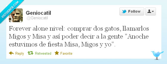 gatos,Migos,fiesta,Misa,forever alone