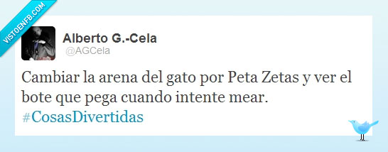 arena,Gato,Twitter,peta zetas,mear