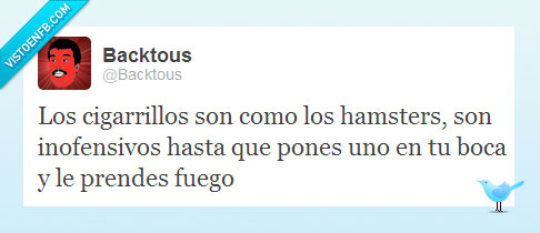 malo,cigarrillo,twitter,hamster,fuego