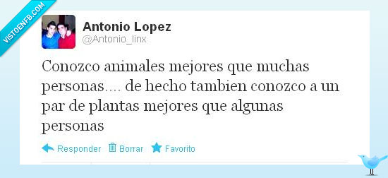 twitter,animales,plantas,personas