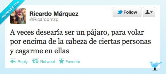 volar,troll,persona,pajaro,encima,cabeza