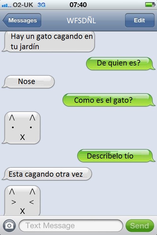 estreñido,describirlo,Gato,cagando