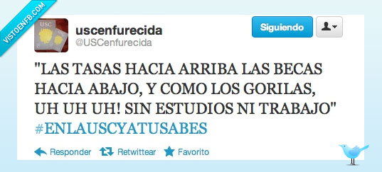 universidad,tasas,gorila,arriba,abajo,melody,recorte,beca