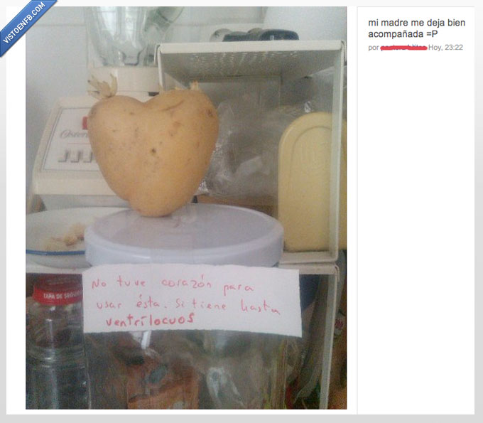 patata,ventrículos,corazón,mamá,sola,acompañada