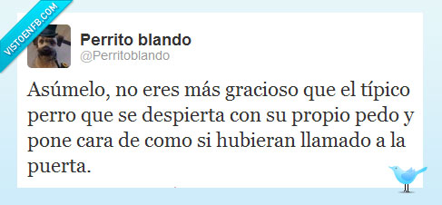 pedo,perro,susto,puerta,gracioso