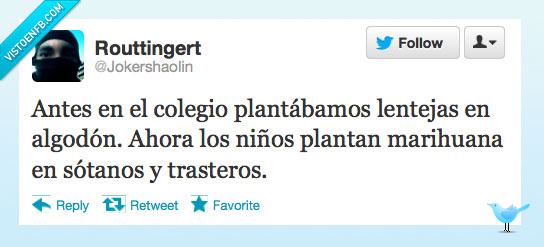 colegio,lentejas,droga,niños,marihuana