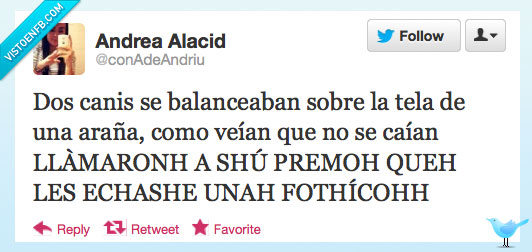 canis,cancion,elefantes,fotiko,tuenti